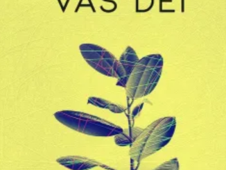 Saint Evo – Vas Dei (Original Mix)