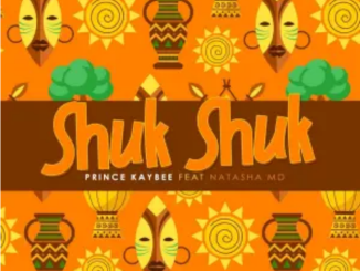 Prince Kaybee – Shuk Shuk 