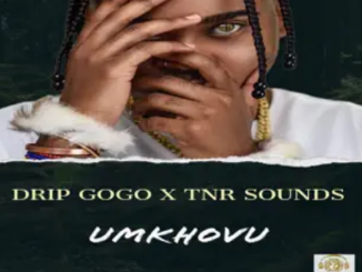 Drip Gogo & TNR Sounds – uMkhovu