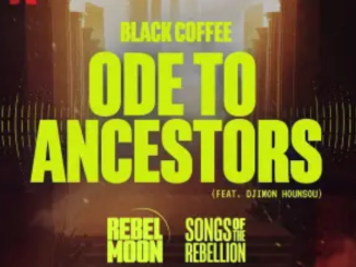 Black Coffee – Ode to Ancestors ft. Djimon Hounsou