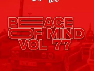 DJ Ace – Peace of Mind Vol 77 (Sunday Vibes Ama45 Mix)