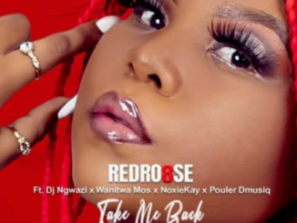 RedRo8se – Take Me Back ft. DJ Ngwazi, Wanitwa Mos, Noxiekay, Pouler Dmusiq