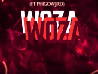 Mcdeez Fboy & DrummeRTee924 – WOZA WOZA ft. Phigow Jrd