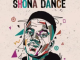 Buddynice – Shona Dance