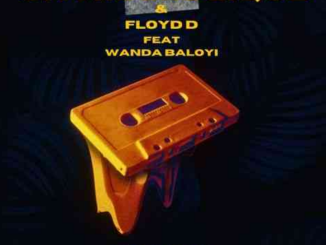 Chymamusique & Floyd D – Can You Feel It ft. Wanda Baloyi