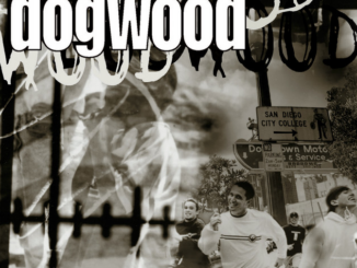 Dogwood Lyrics, New Song List, & Albums